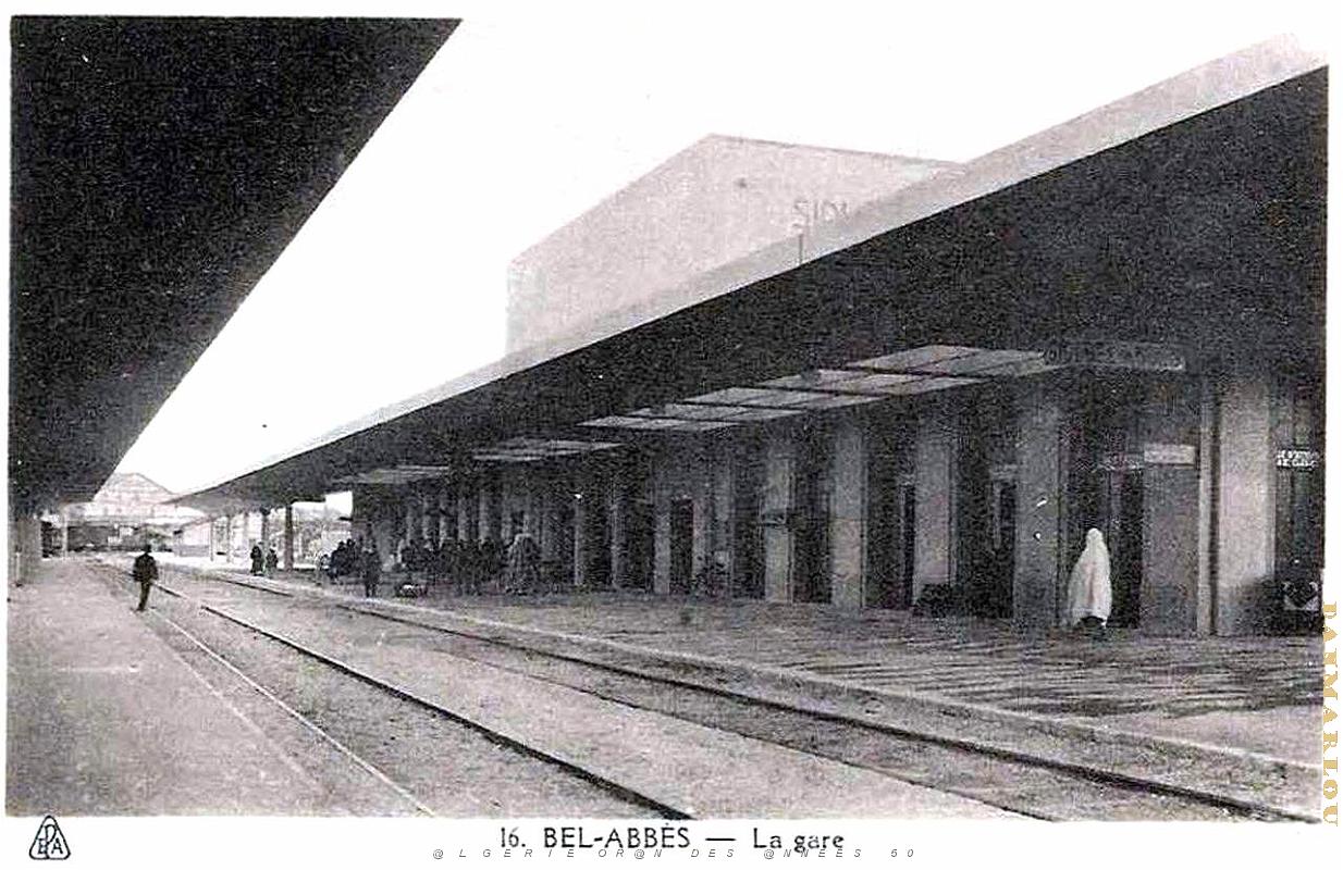 Sidi bel abbes 604.jpg